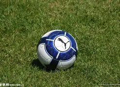 余数除法教,构建数学模,型的学习探,SABA沙巴体育,沙巴体育官网,沙巴体育平台,沙巴体育官网入口